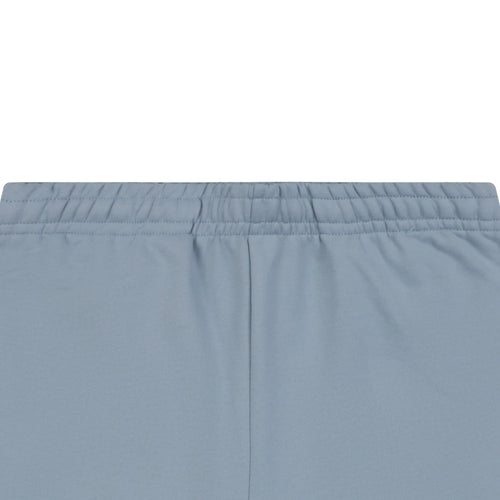 Acne Studios Small Script Logo Embroidered Shorts – Dusty Blue
